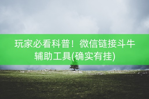 玩家必看科普！微信链接斗牛辅助工具(确实有挂)