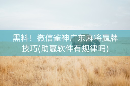 黑料！微信雀神广东麻将赢牌技巧(助赢软件有规律吗)