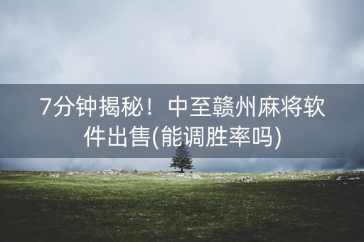 7分钟揭秘！中至赣州麻将软件出售(能调胜率吗)