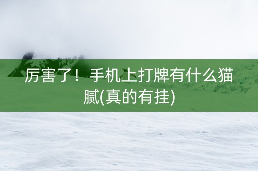 厉害了！手机上打牌有什么猫腻(真的有挂)