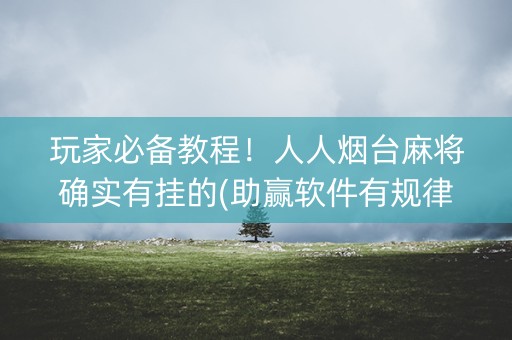 玩家必备教程！人人烟台麻将确实有挂的(助赢软件有规律吗)