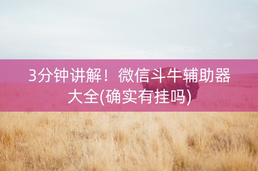 3分钟讲解！微信斗牛辅助器大全(确实有挂吗)