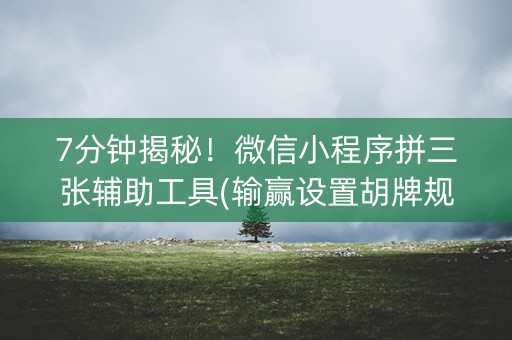 7分钟揭秘！微信小程序拼三张辅助工具(输赢设置胡牌规律)