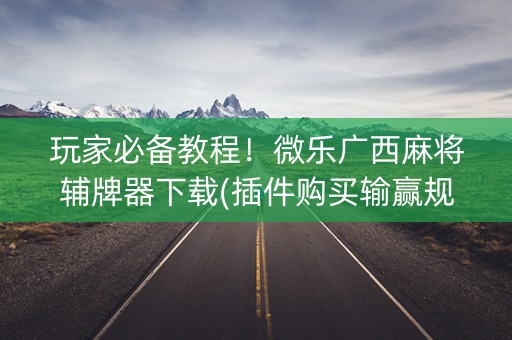 玩家必备教程！微乐广西麻将辅牌器下载(插件购买输赢规律)
