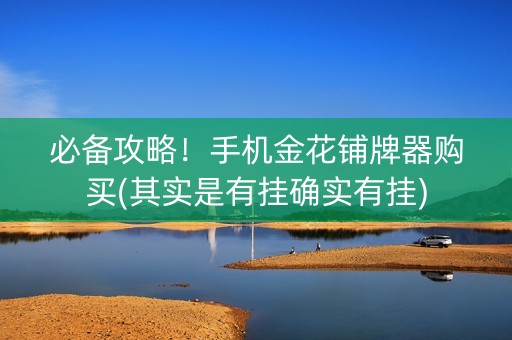 必备攻略！手机金花铺牌器购买(其实是有挂确实有挂)