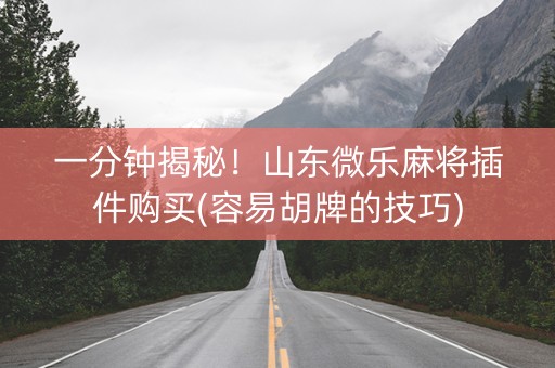 一分钟揭秘！山东微乐麻将插件购买(容易胡牌的技巧)