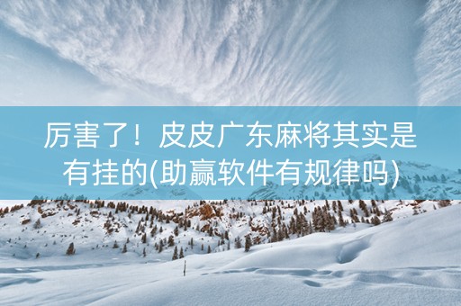 厉害了！皮皮广东麻将其实是有挂的(助赢软件有规律吗)