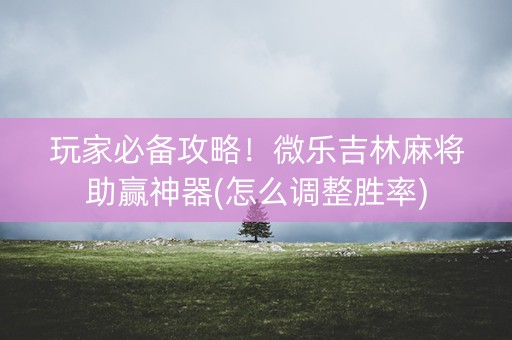 玩家必备攻略！微乐吉林麻将助赢神器(怎么调整胜率)