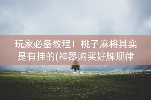 玩家必备教程！桃子麻将其实是有挂的(神器购买好牌规律)