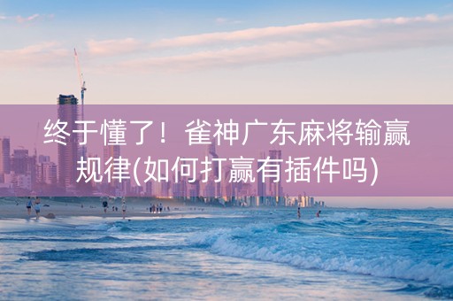 终于懂了！雀神广东麻将输赢规律(如何打赢有插件吗)