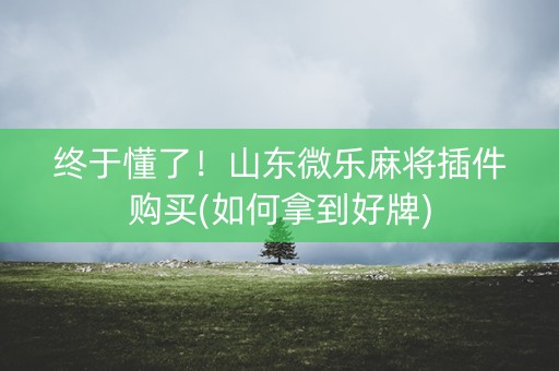 终于懂了！山东微乐麻将插件购买(如何拿到好牌)