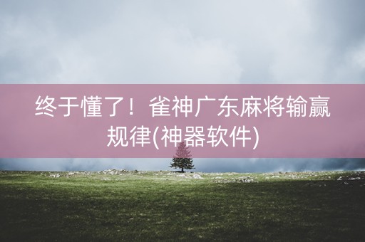 终于懂了！雀神广东麻将输赢规律(神器软件)