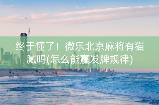 终于懂了！微乐北京麻将有猫腻吗(怎么能赢发牌规律)
