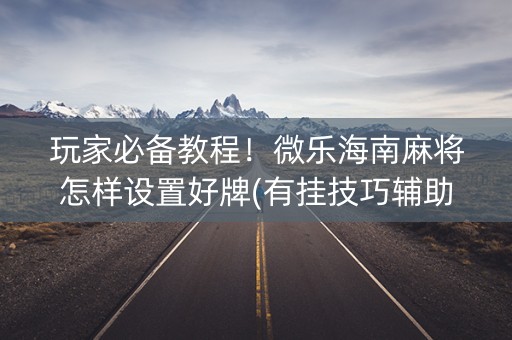玩家必备教程！微乐海南麻将怎样设置好牌(有挂技巧辅助器)