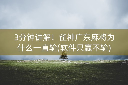 3分钟讲解！雀神广东麻将为什么一直输(软件只赢不输)