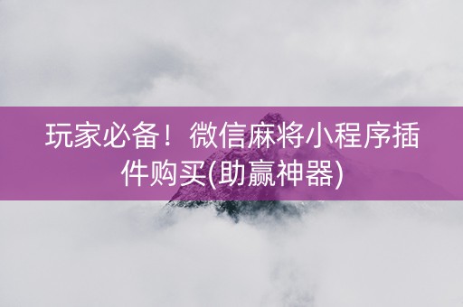 玩家必备！微信麻将小程序插件购买(助赢神器)