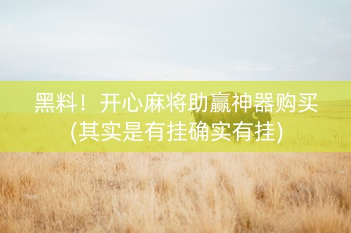 黑料！开心麻将助赢神器购买(其实是有挂确实有挂)