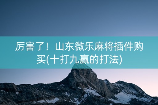 厉害了！山东微乐麻将插件购买(十打九赢的打法)