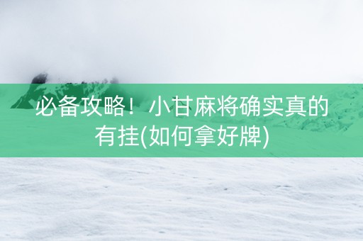 必备攻略！小甘麻将确实真的有挂(如何拿好牌)