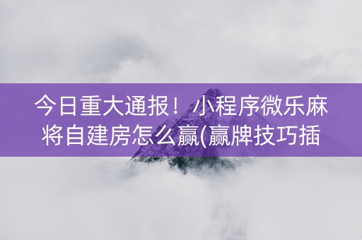 今日重大通报！小程序微乐麻将自建房怎么赢(赢牌技巧插件安装)