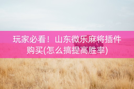 玩家必看！山东微乐麻将插件购买(怎么搞提高胜率)