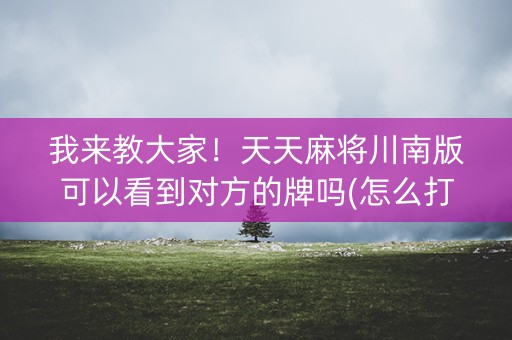 我来教大家！天天麻将川南版可以看到对方的牌吗(怎么打系统才能给好牌)
