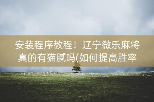 安装程序教程！辽宁微乐麻将真的有猫腻吗(如何提高胜率)