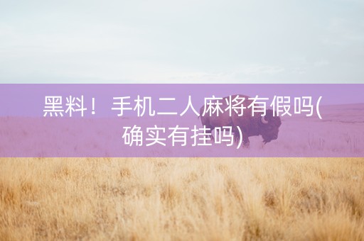黑料！手机二人麻将有假吗(确实有挂吗)