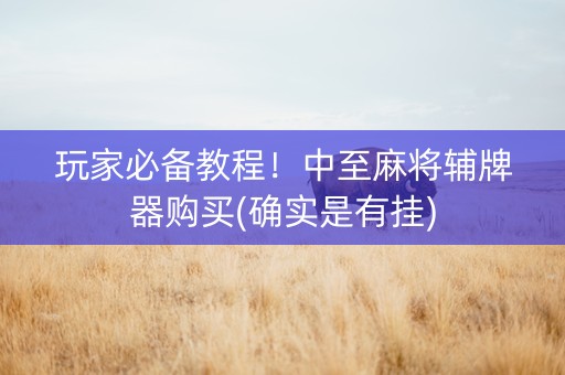 玩家必备教程！中至麻将辅牌器购买(确实是有挂)