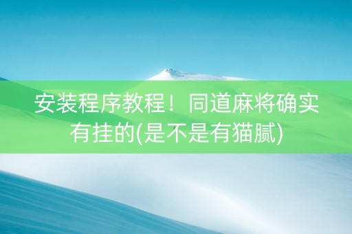 安装程序教程！同道麻将确实有挂的(是不是有猫腻)