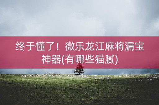 终于懂了！微乐龙江麻将漏宝神器(有哪些猫腻)