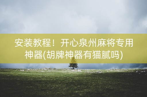 安装教程！开心泉州麻将专用神器(胡牌神器有猫腻吗)