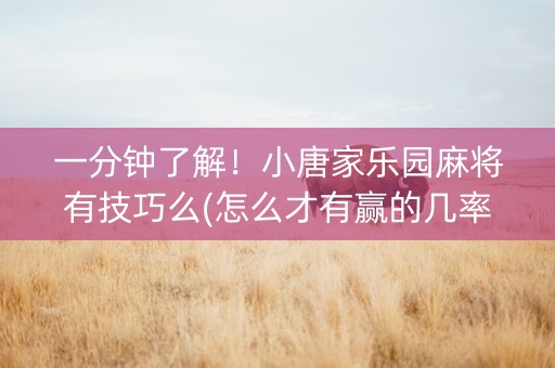 一分钟了解！小唐家乐园麻将有技巧么(怎么才有赢的几率)
