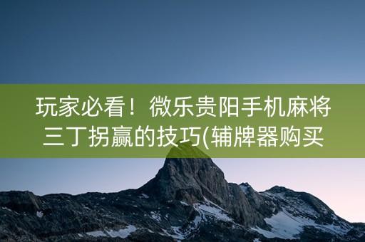 玩家必看！微乐贵阳手机麻将三丁拐赢的技巧(辅牌器购买)
