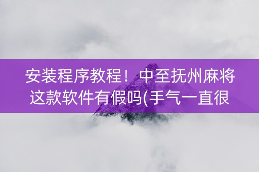 安装程序教程！中至抚州麻将这款软件有假吗(手气一直很差)