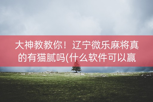 大神教教你！辽宁微乐麻将真的有猫腻吗(什么软件可以赢)
