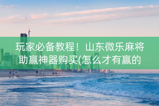 玩家必备教程！山东微乐麻将助赢神器购买(怎么才有赢的几率)