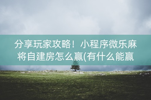 分享玩家攻略！小程序微乐麻将自建房怎么赢(有什么能赢的方法)