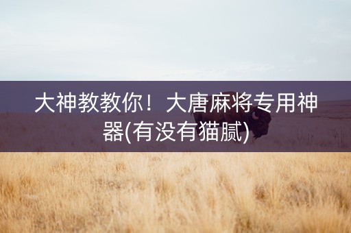 大神教教你！大唐麻将专用神器(有没有猫腻)