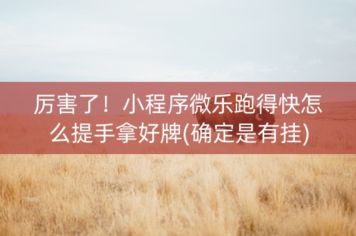 厉害了！小程序微乐跑得快怎么提手拿好牌(确定是有挂)