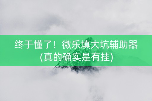 终于懂了！微乐填大坑辅助器(真的确实是有挂)