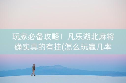 玩家必备攻略！凡乐湖北麻将确实真的有挂(怎么玩赢几率大)