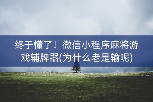 终于懂了！微信小程序麻将游戏辅牌器(为什么老是输呢)