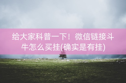 给大家科普一下！微信链接斗牛怎么买挂(确实是有挂)