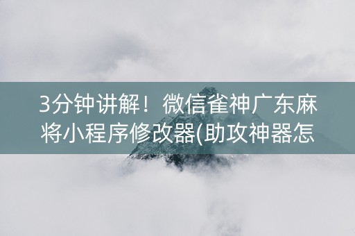 3分钟讲解！微信雀神广东麻将小程序修改器(助攻神器怎么才会赢)