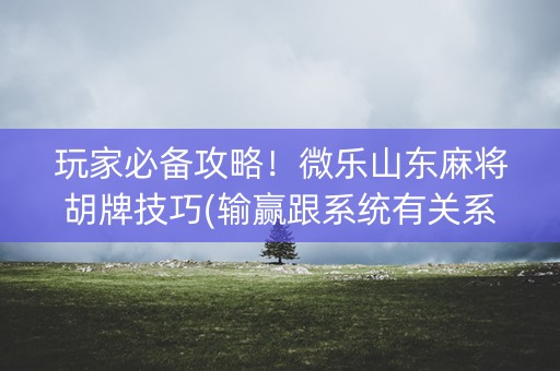 玩家必备攻略！微乐山东麻将胡牌技巧(输赢跟系统有关系吗)