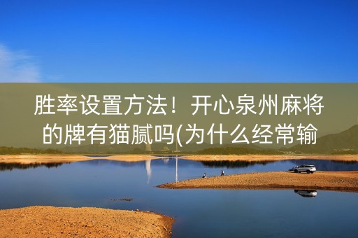 胜率设置方法！开心泉州麻将的牌有猫腻吗(为什么经常输)