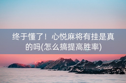 终于懂了！心悦麻将有挂是真的吗(怎么搞提高胜率)