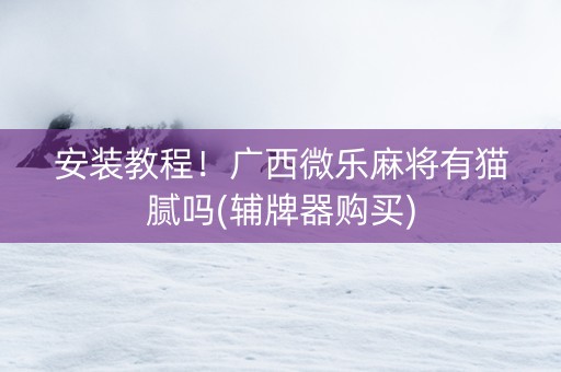 安装教程！广西微乐麻将有猫腻吗(辅牌器购买)