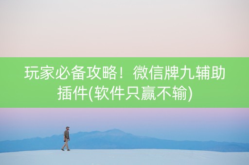玩家必备攻略！微信牌九辅助插件(软件只赢不输)